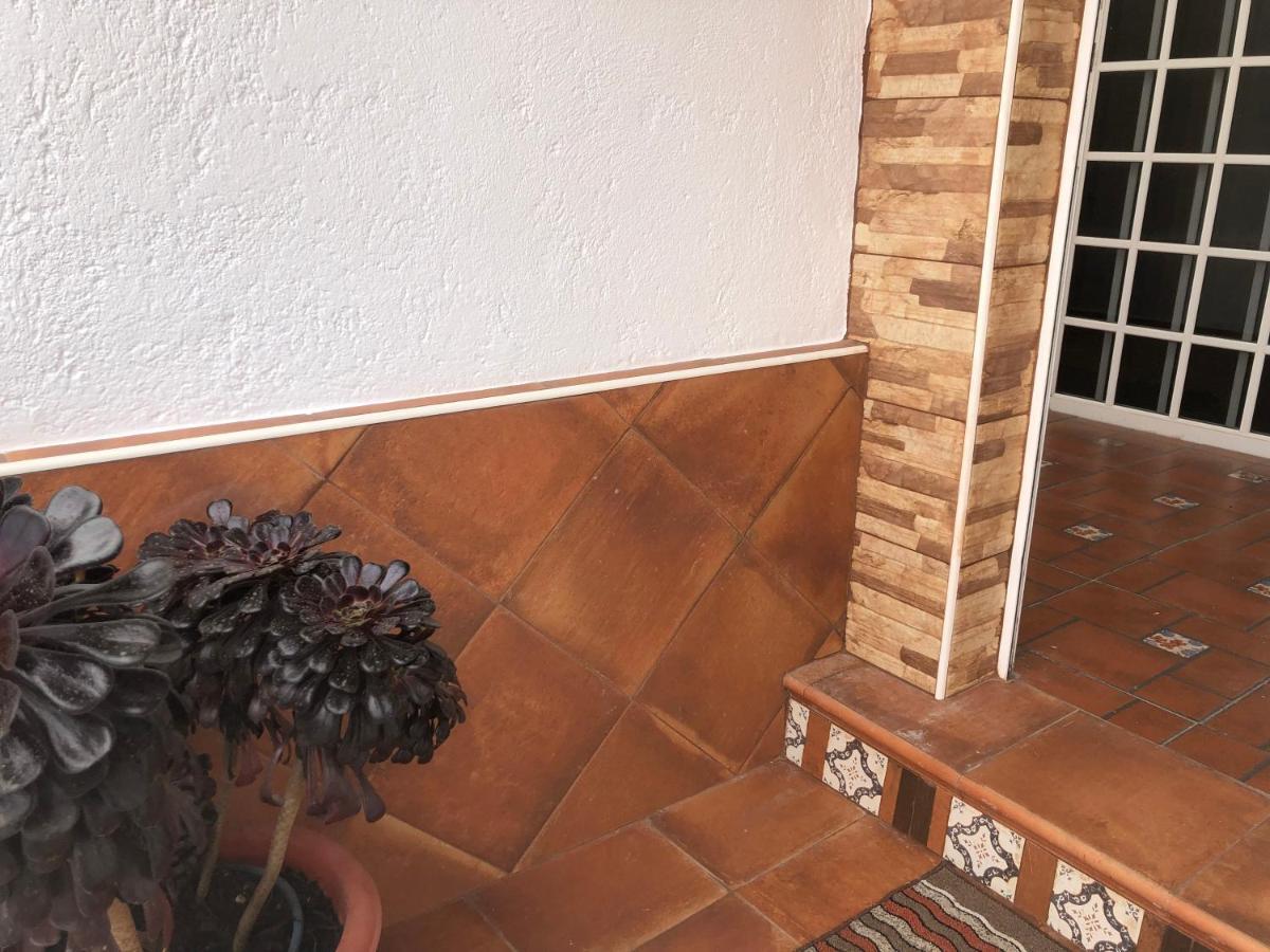 Teide Lägenhet Icod De Los Vinos Exteriör bild